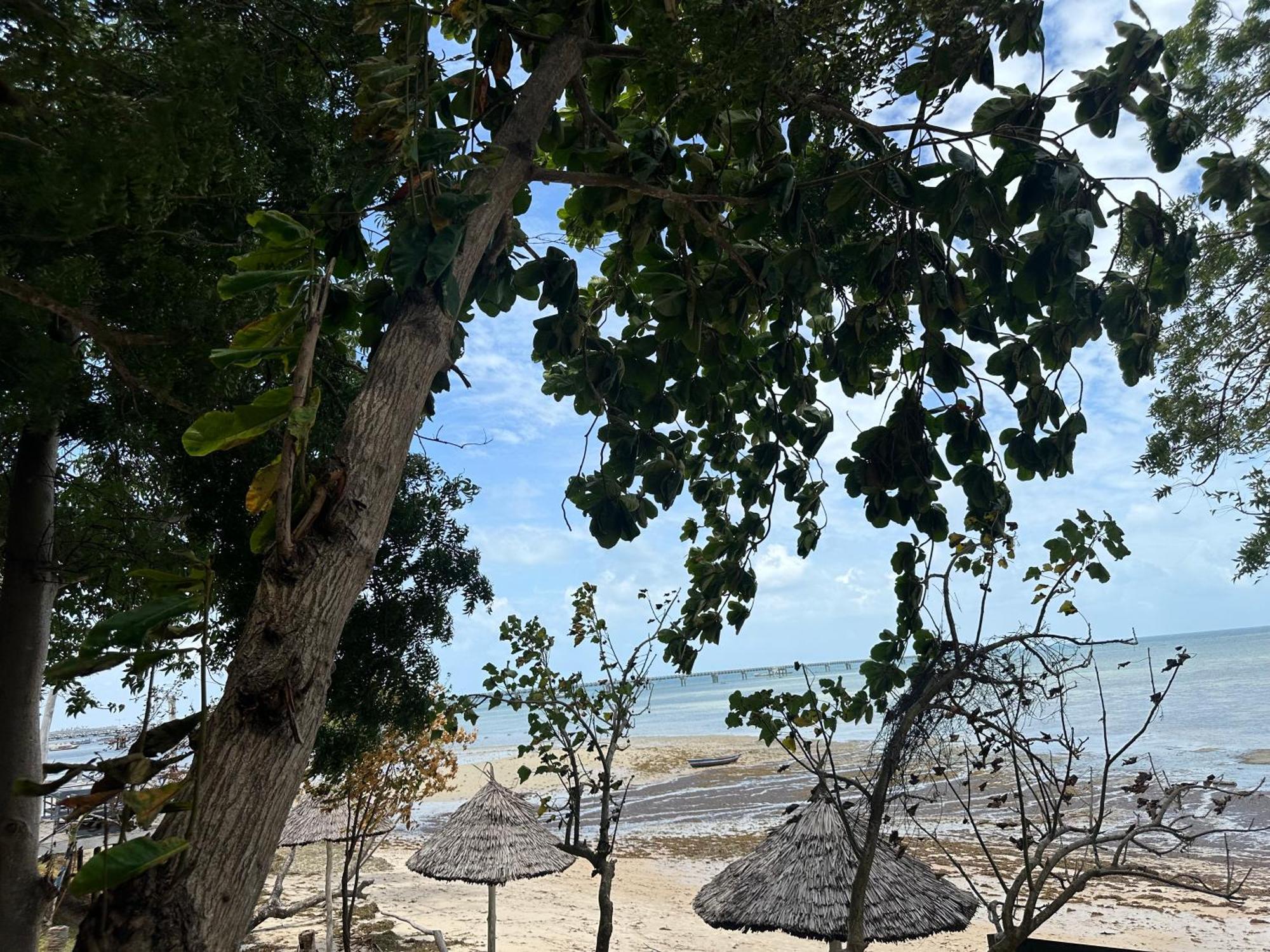 Maweni Beach Bungalows Kilindoni Exteriér fotografie